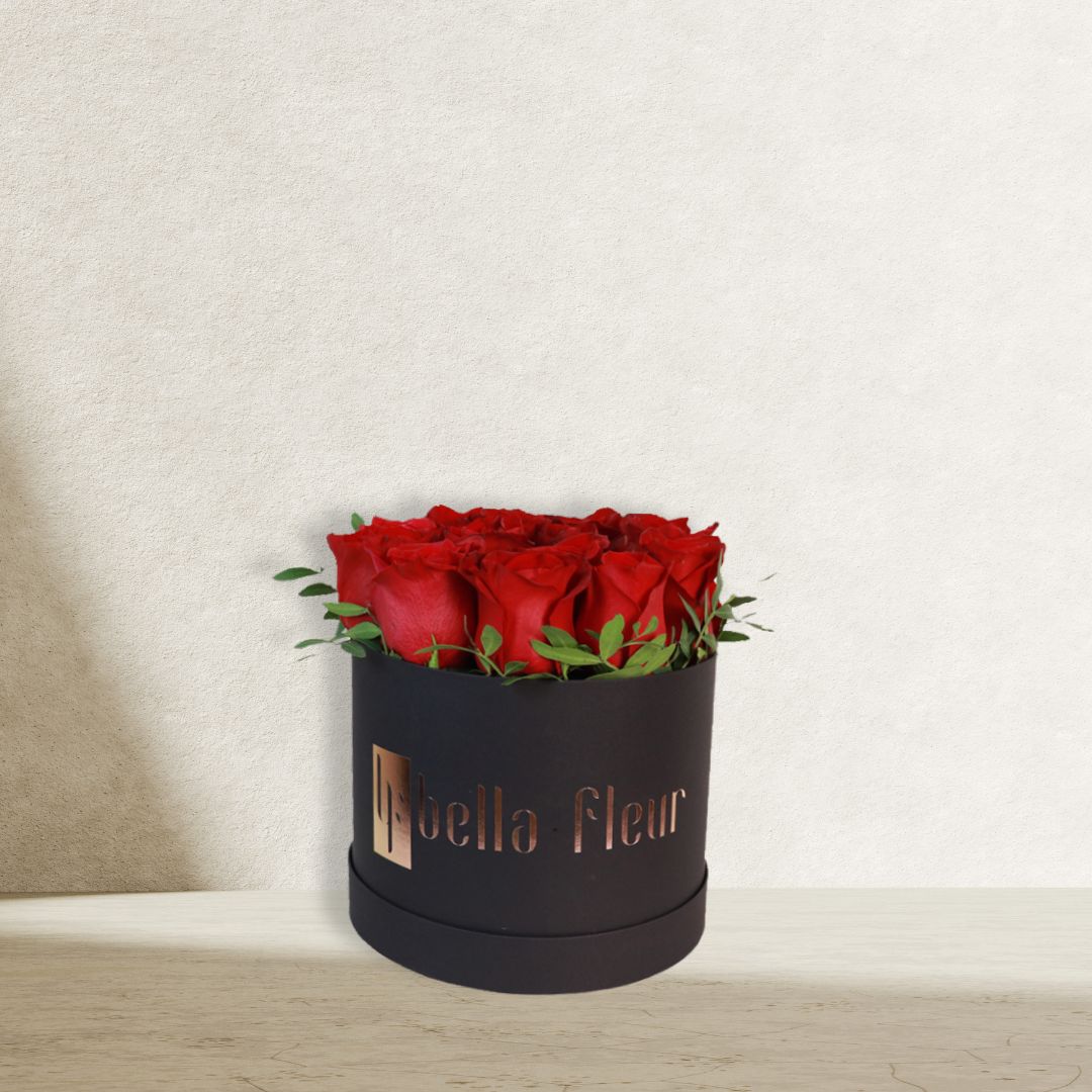 Shani Bella Box β Minimalist Elegance in Red