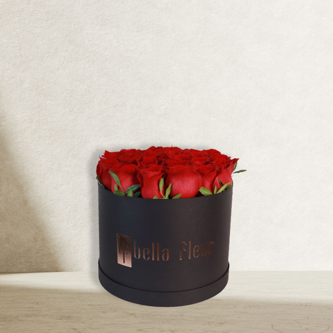 Shani Bella Box β Minimalist Elegance in Red