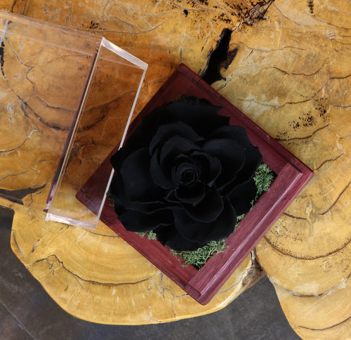 Lakewood Single Infinity Rose