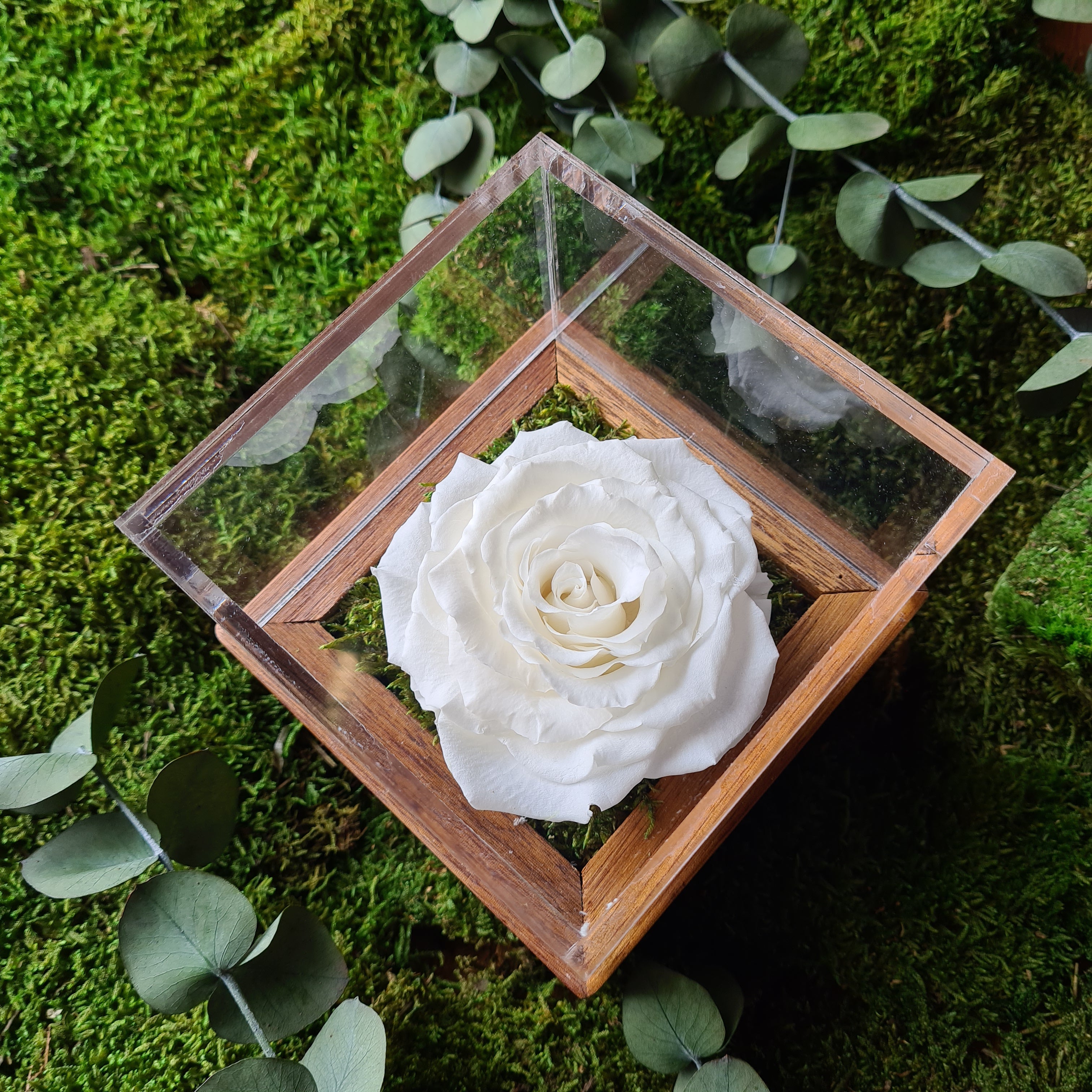 Lakewood Single Infinity Rose