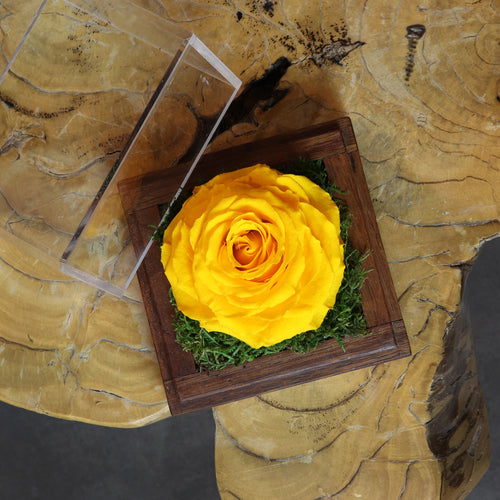 Lakewood Single Infinity Rose