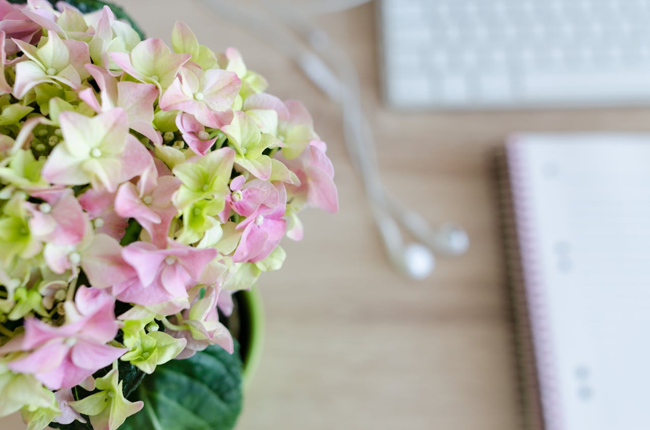 The New Rules of Corporate Flower Etiquette in Dubai