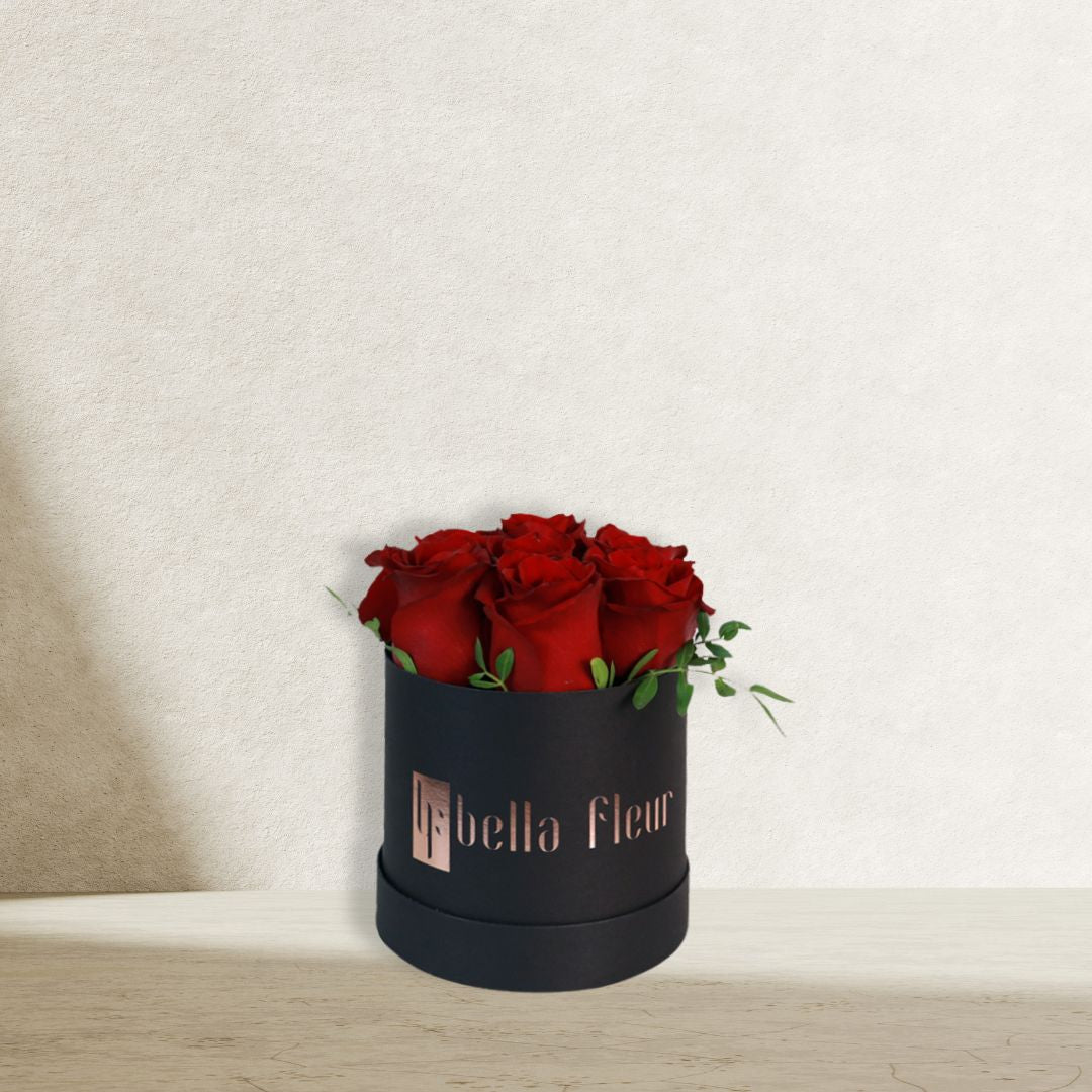 Shani Bella Box – Minimalist Elegance in Red