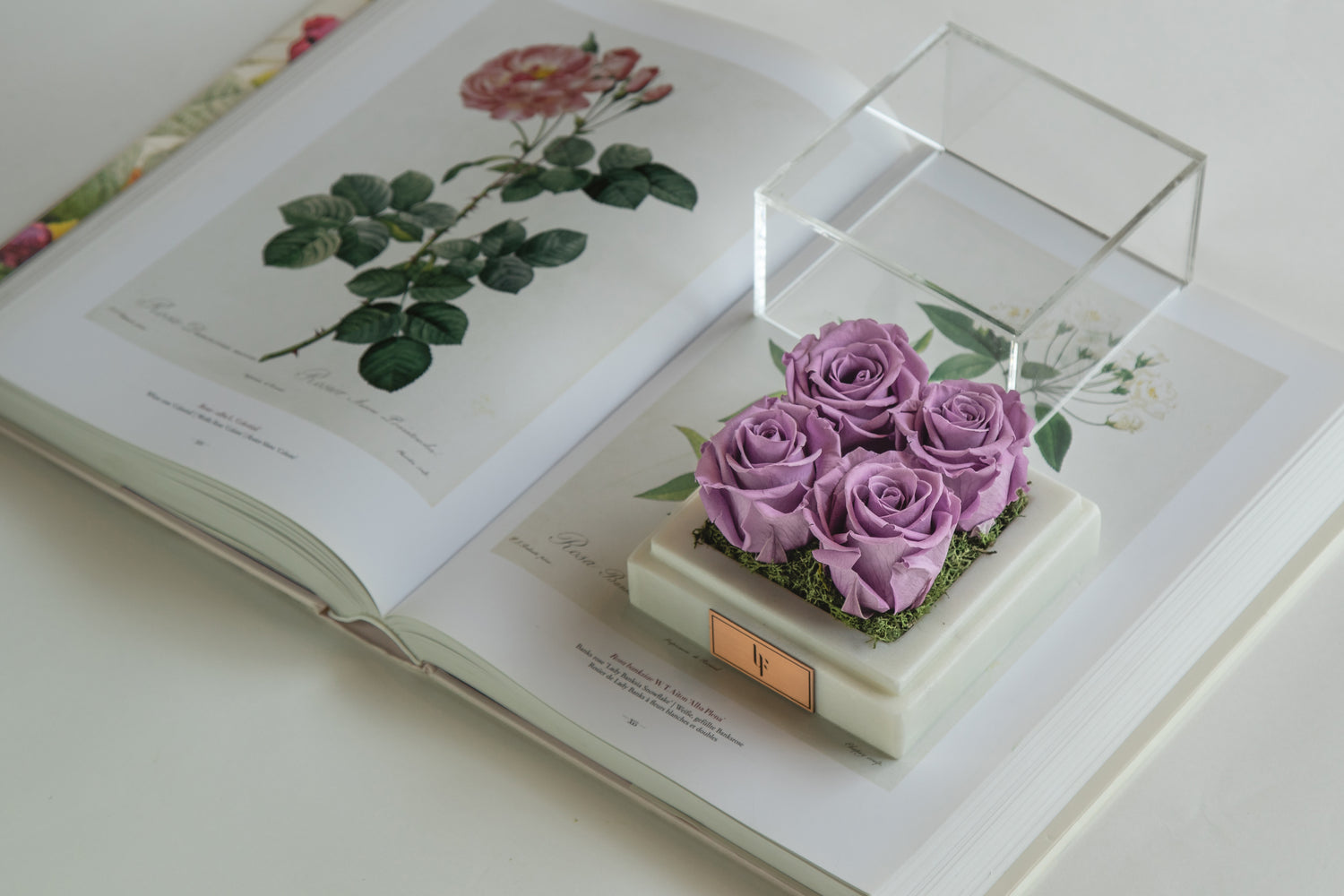 Marble Quatro Infinity Rose