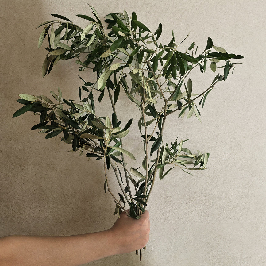 Olive