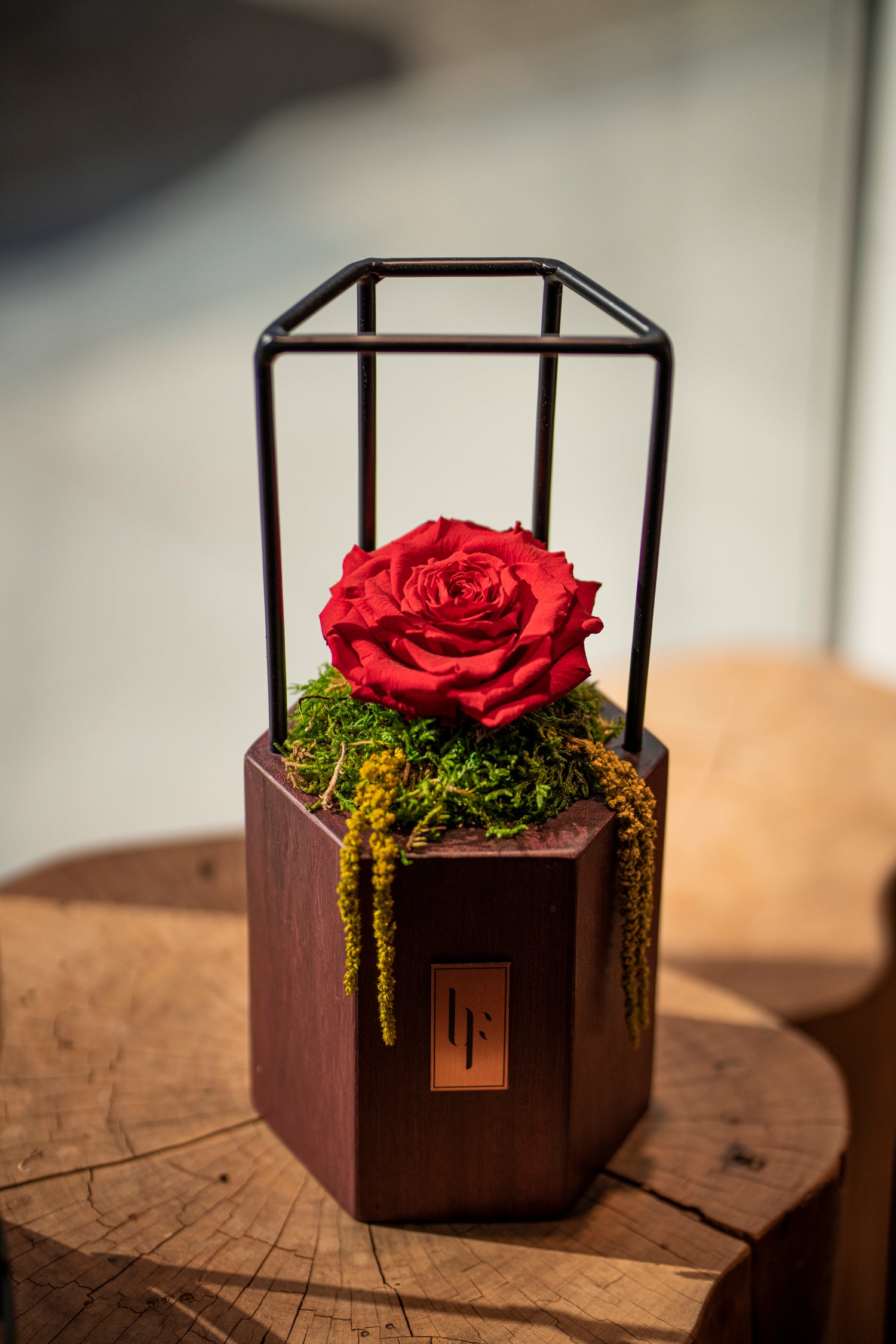 Red infinity rose