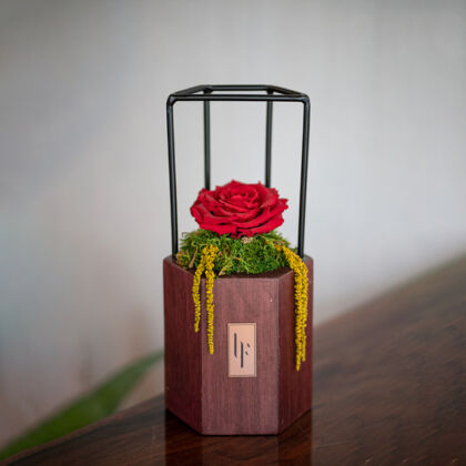 Lakewood Collection with elegant Valentine Roses and Hearts, ideal for Valentine's Day.